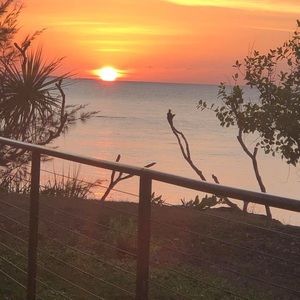 Meet your Posher, Rosie